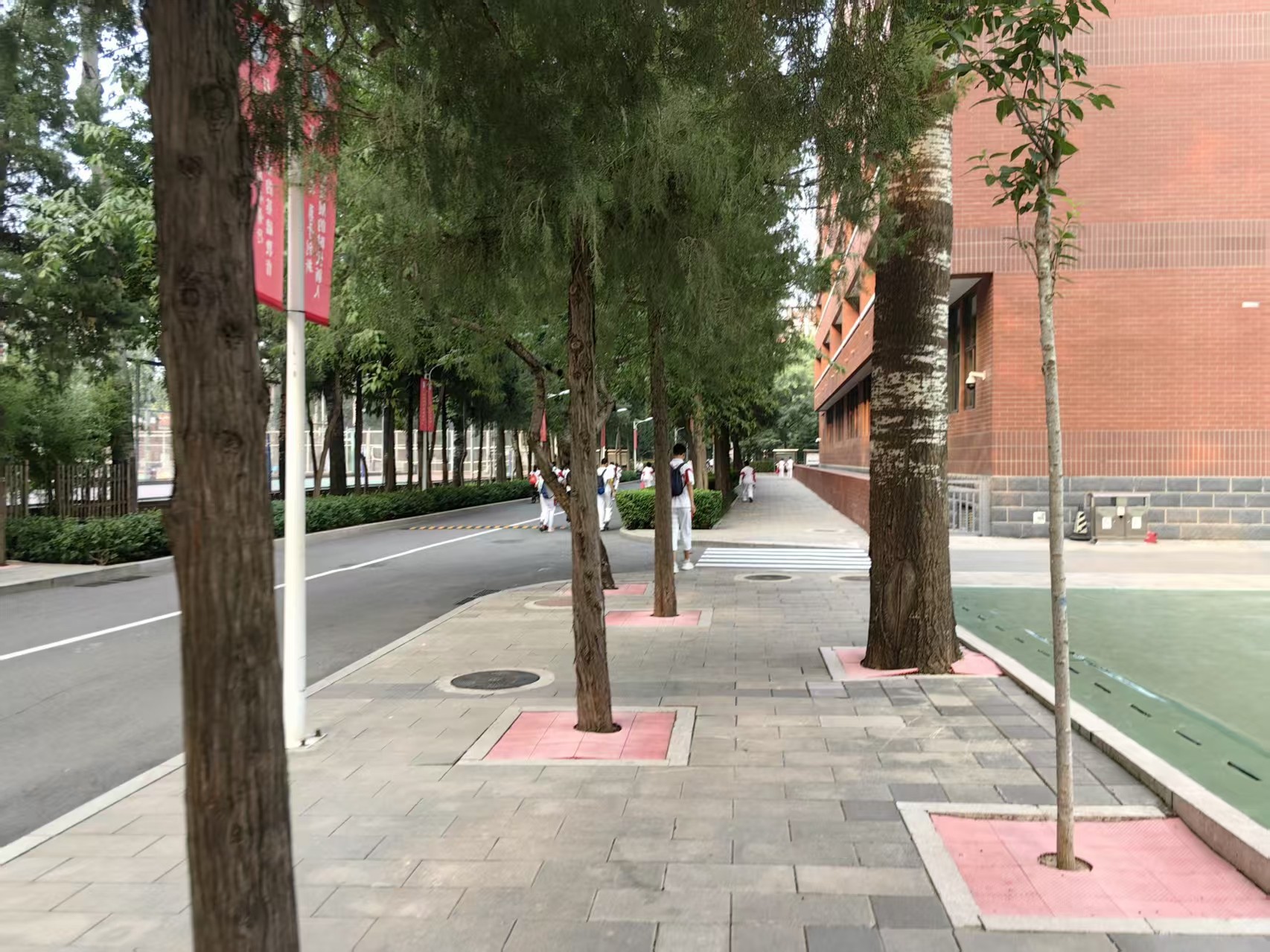 人大附中校园林荫道路
